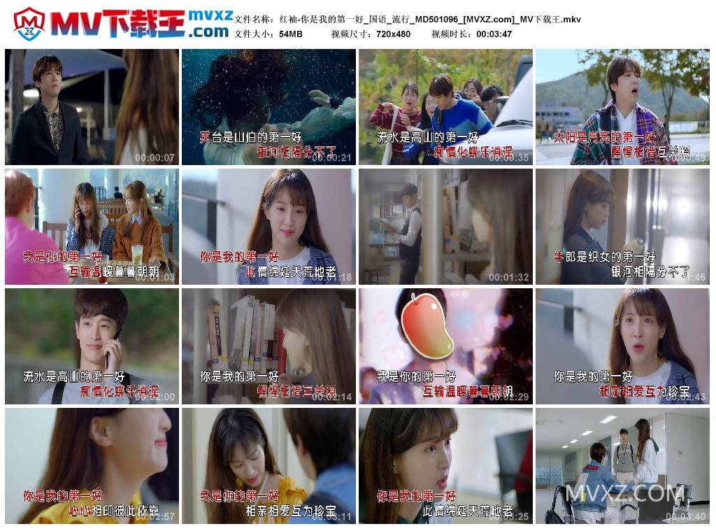 红袖-你是我的第一好_国语_流行_MD501096